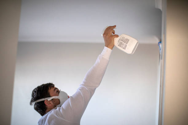 Best Black Mold Removal  in Hartsville, SC