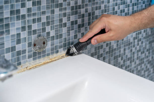 Best Mold Testing  in Hartsville, SC